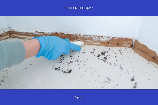 PEST CONTROL Tappan